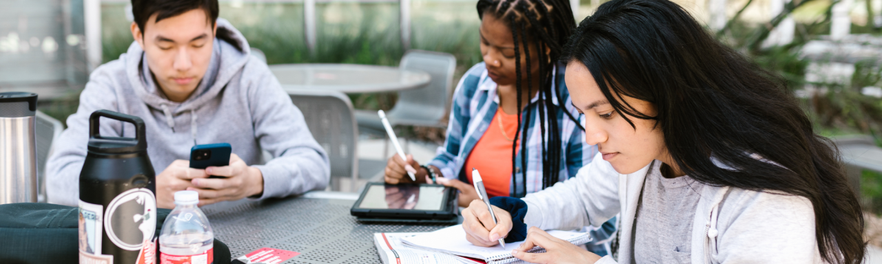 Diverse and Inclusive Education